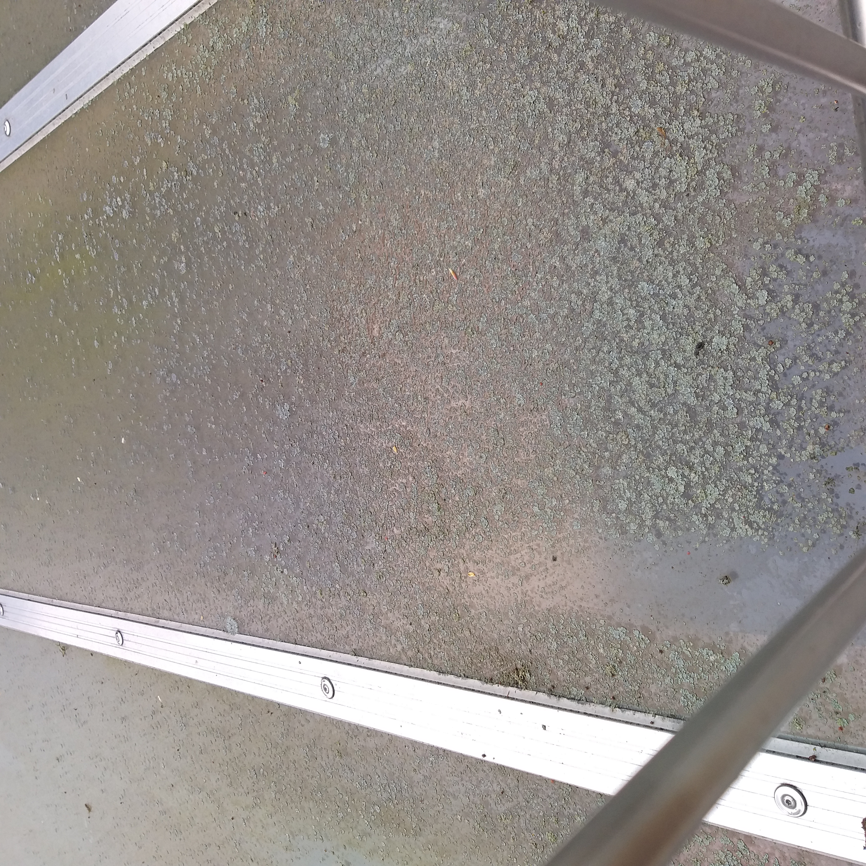 Concrete meets bricks