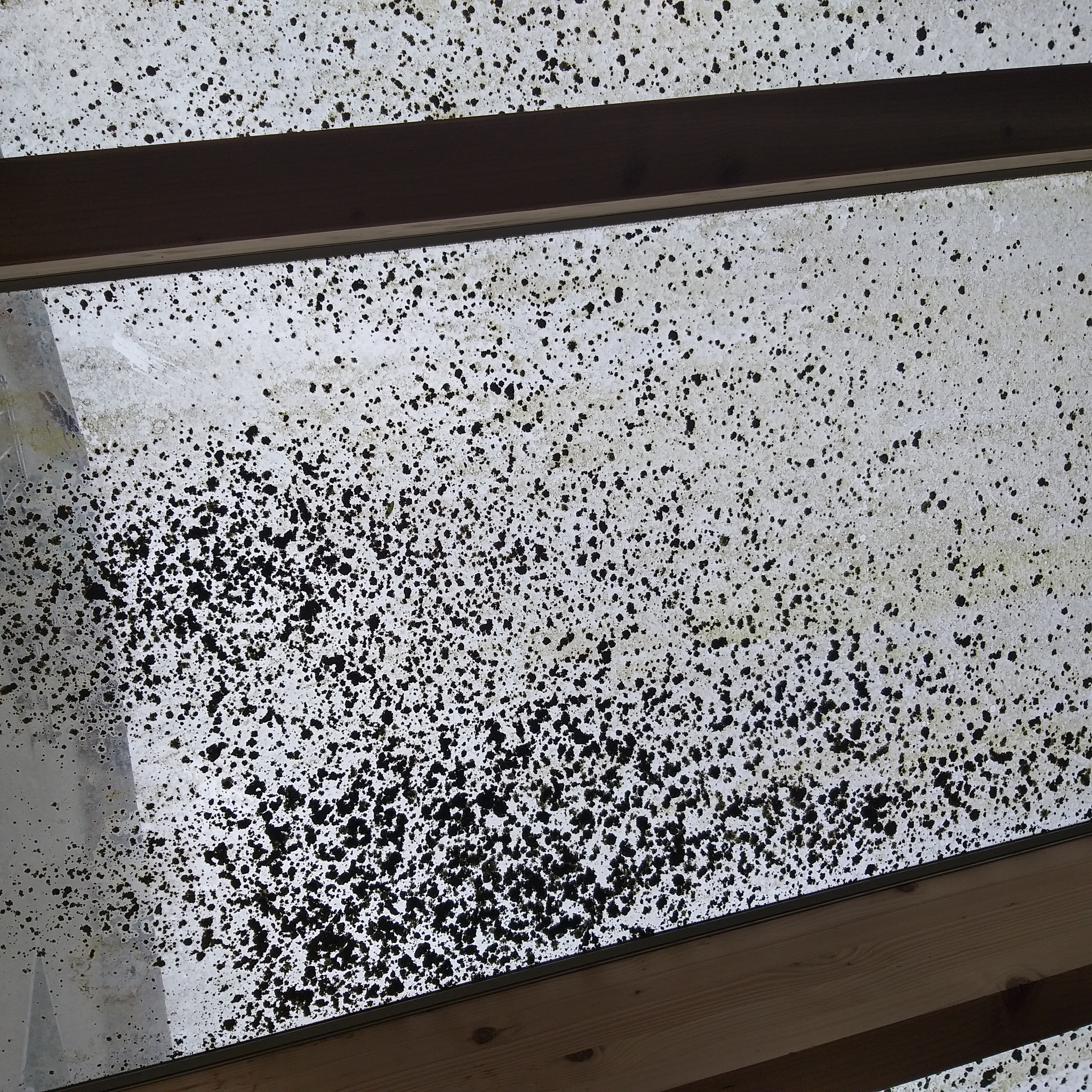 White walls with designer chairs