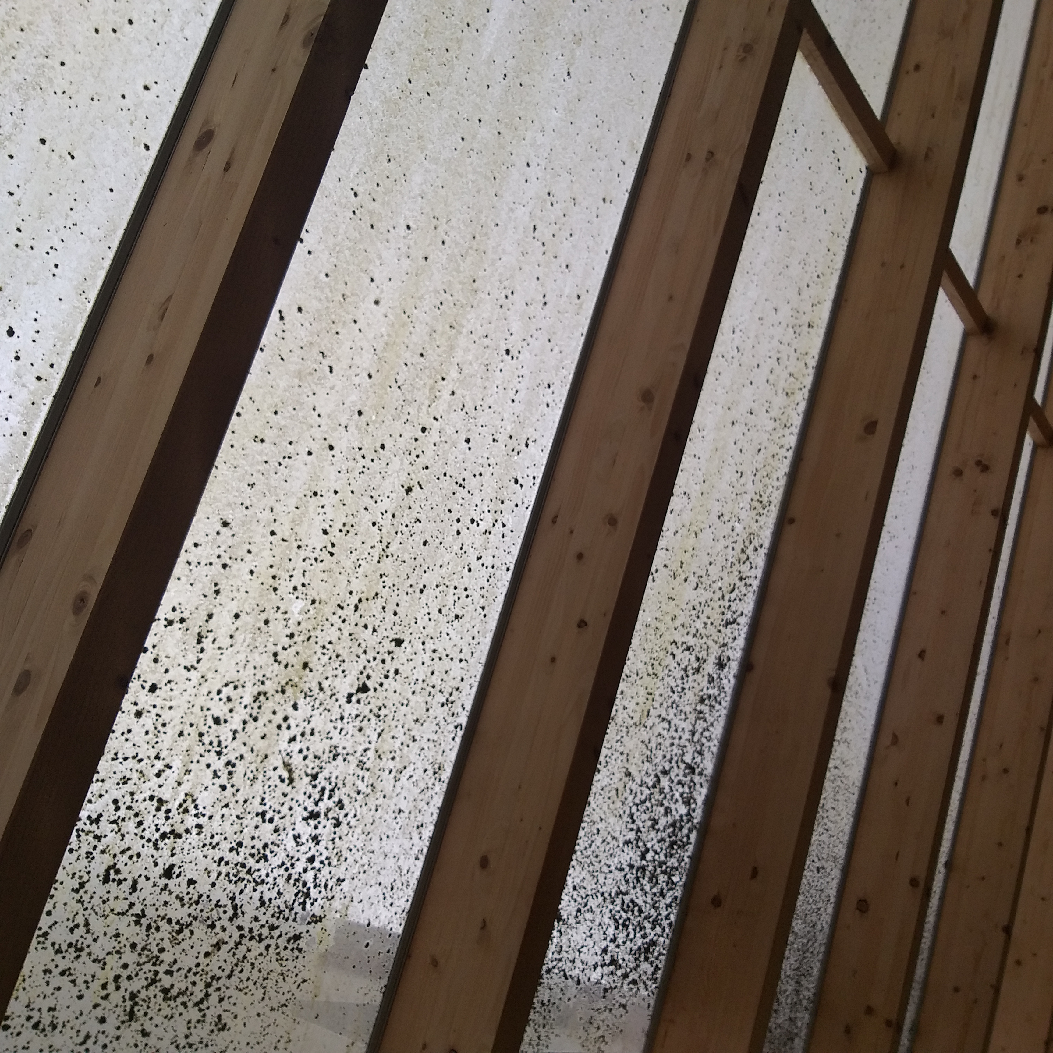 Concrete meets bricks