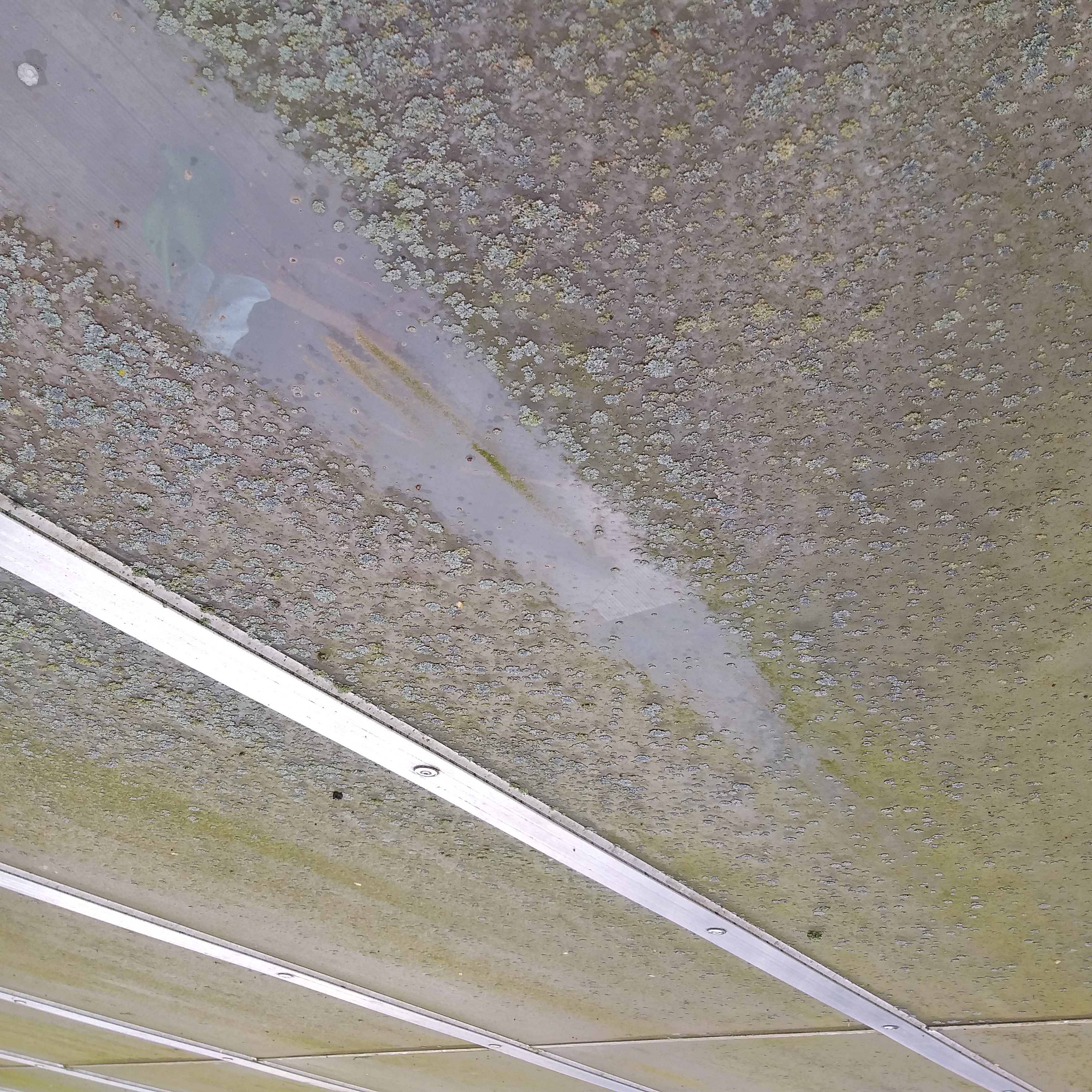 Concrete meets bricks