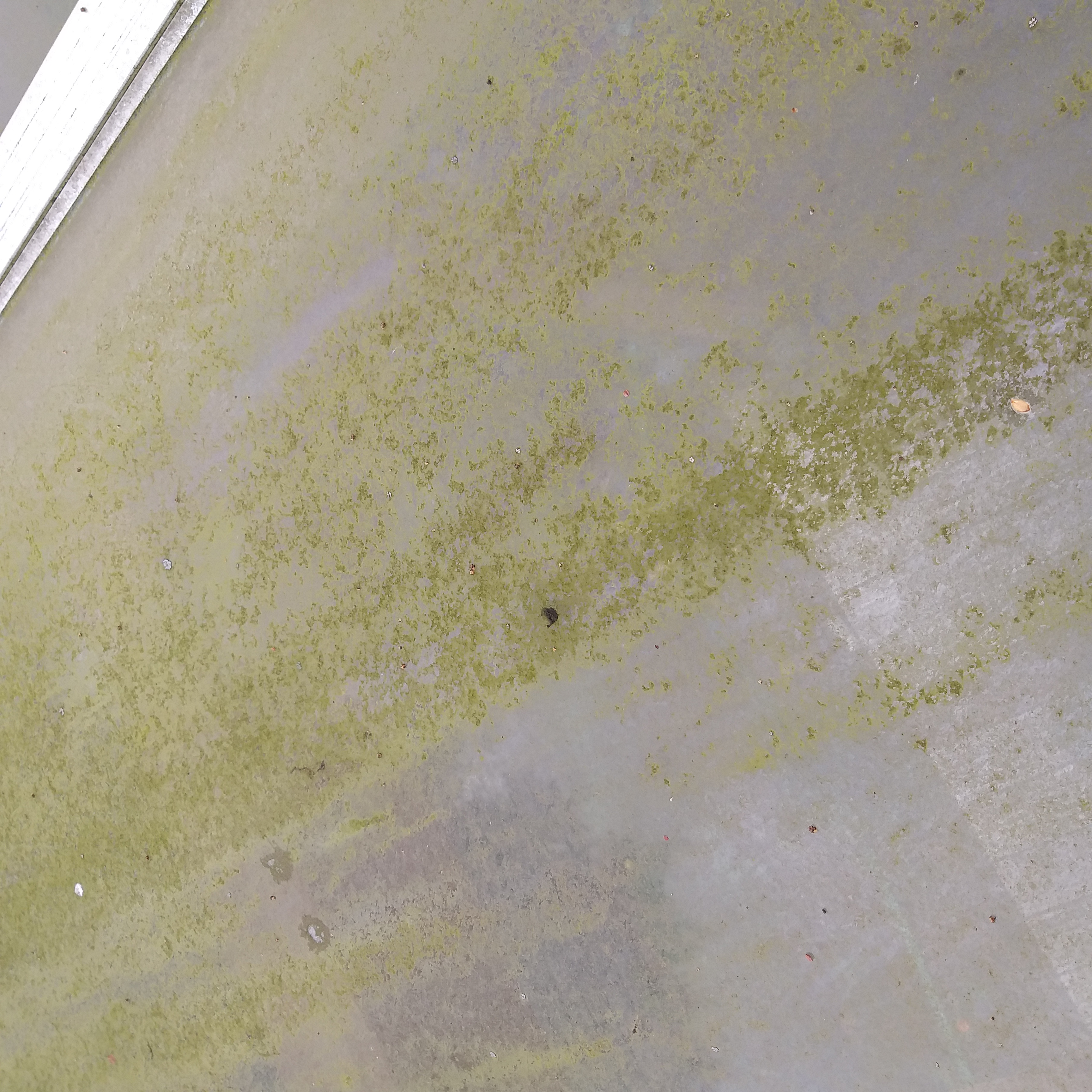 Light, white and tight scandinavian design